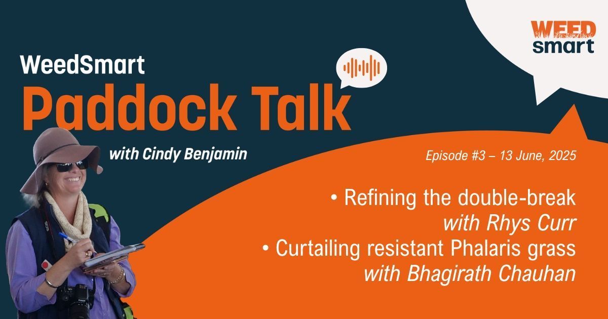 Paddock Talk Ep#3 – Talking practical double-break tactic 🫛+ 🌼 and getting on top of Phalaris grass in winter crops 🌱
buff.ly/Bo8253M