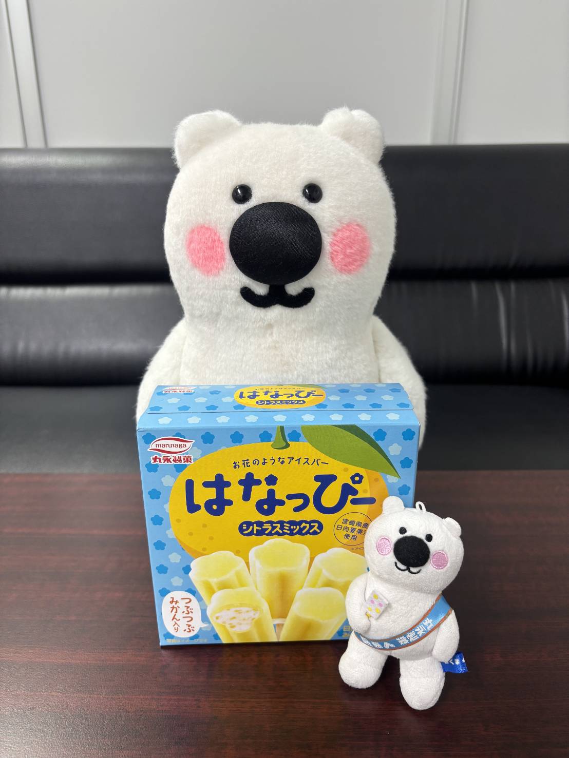 オーダー＊クマちゃんアイスぱっちんピン＊ オーダー＊クマちゃんアイスぱっちんピン＊ Amazon.co.jp