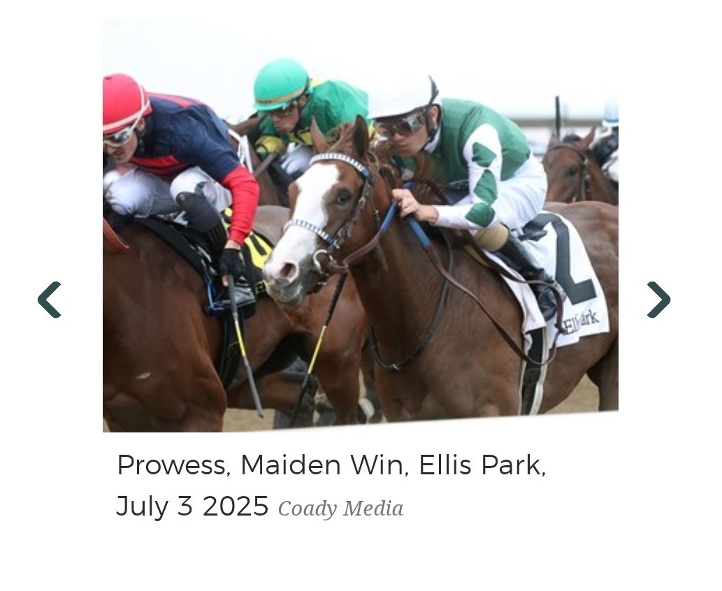 Endeavor Farm KY (@endeavorfarmky) on Twitter photo First time out = first time in the winner's circle for Prowess (Sweet August Lady '23 x #TiztheLaw) in MSW company in Race 2 <a href="/EllisParkRacing/">Ellis Park Racing & Gaming</a>! Congrats to breeder/owner Dream Big Racing on such an exciting victory for a homebred! <a href="/coolmoreamerica/">Coolmore America</a> #foalsof2023 #flashyfilly First time out = first time in the winner's circle for Prowess (Sweet August Lady '23 x #TiztheLaw) in MSW company in Race 2 <a href="/EllisParkRacing/">Ellis Park Racing & Gaming</a>! Congrats to breeder/owner Dream Big Racing on such an exciting victory for a homebred! <a href="/coolmoreamerica/">Coolmore America</a> #foalsof2023 #flashyfilly