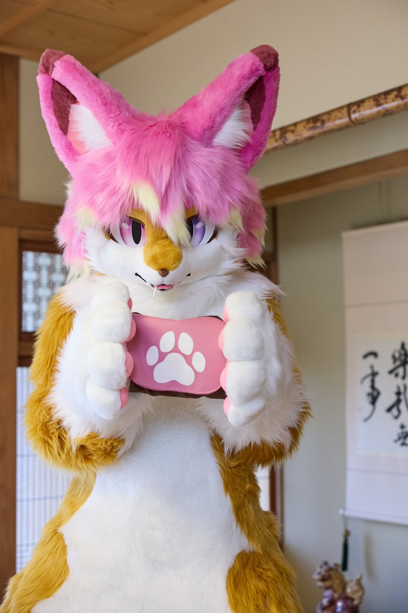 飴の入った鞄を大切に持つチャプス君🦊👜
【📸：#sakura_craw 】
#FursuitsFriday #じゅじゅーかい