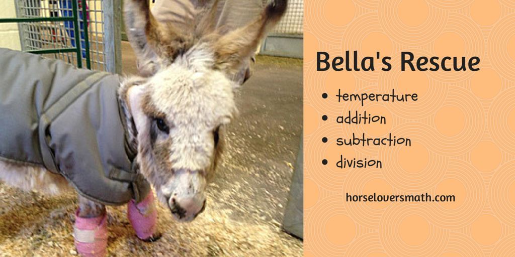 One cold Minnesota winter, a baby donkey was rescued suffering from severe frostbite and hypothermia. This is her story—Horse Lover's Math style. buff.ly/1D4fn9x #horselover #equine #donkey #mathforkids #homeschool #unschooling