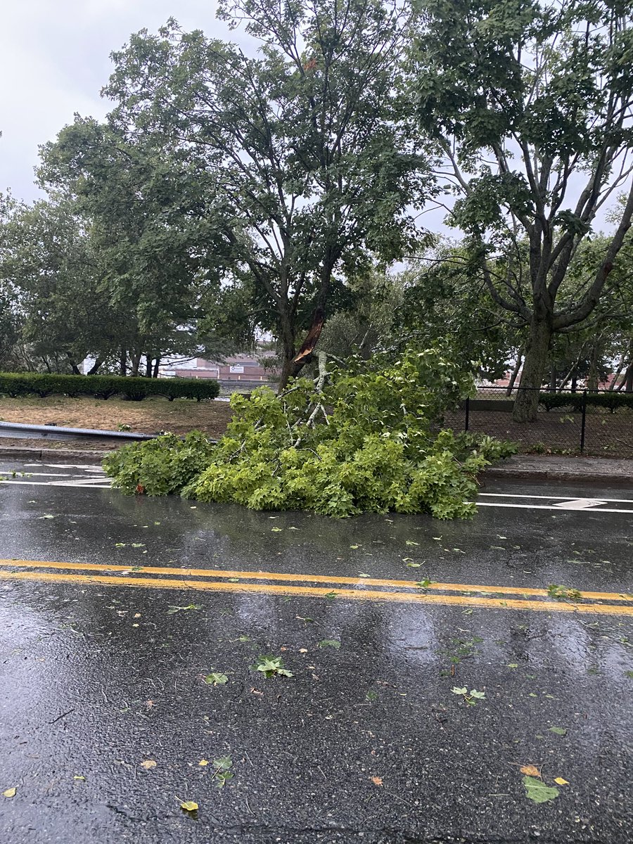 Branches and tree limbs down along Water St/Ponta Delgada Blvd in Fall River. <a href="/NWSBoston/">NWS Boston</a> <a href="/WX1BOX/">SNE Amateur Radio Skywarn</a>