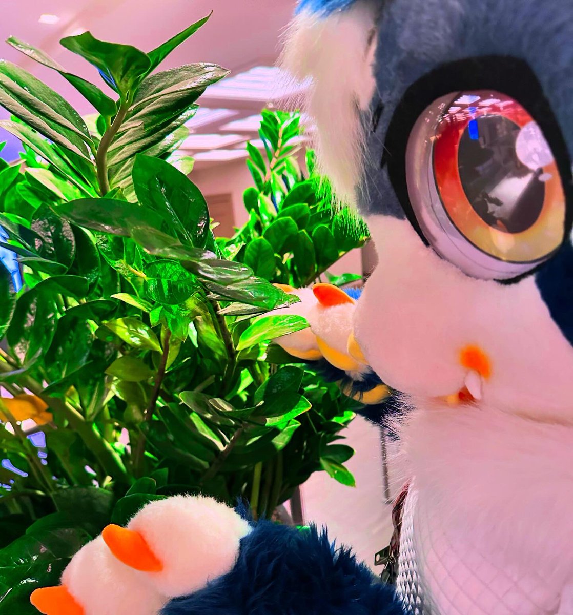 Plants 🌿💕
