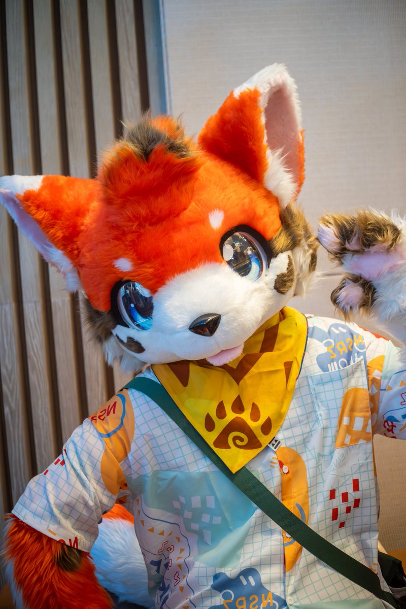 #FursuitFriday
Good morning☀️

📸 <a href="/Furcat_flame/">狸焰/蔚辰🔜BJC&天津绒兽</a> 🧡