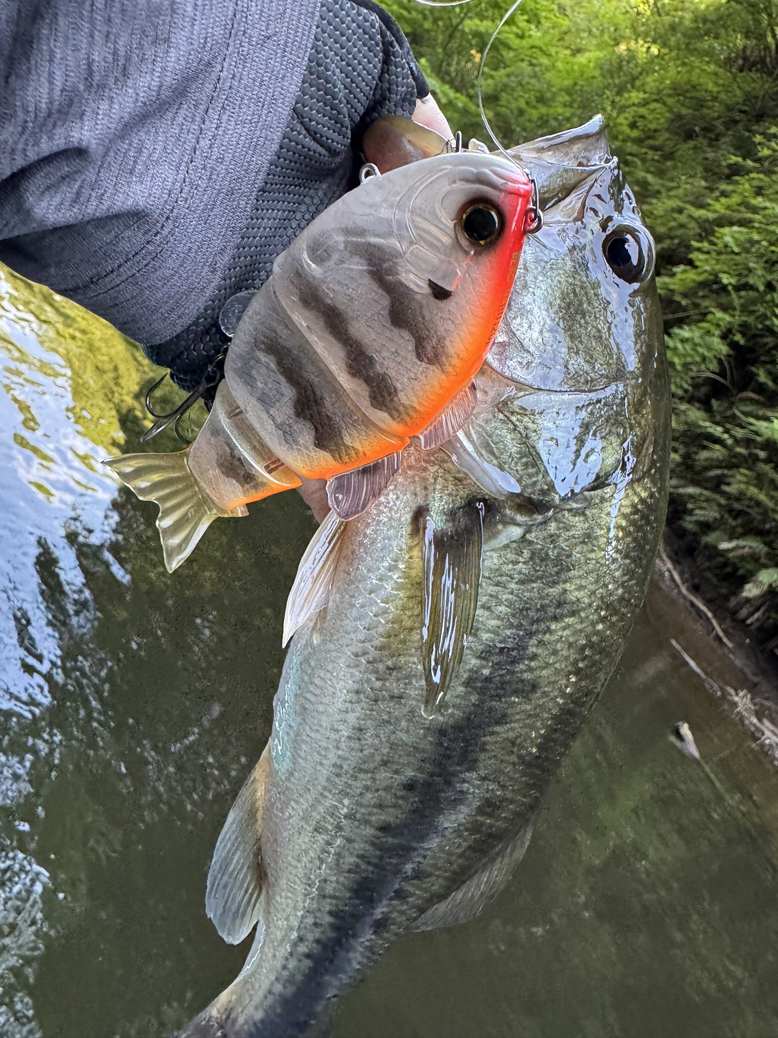 Ryo Sakurai【MPB LURES】【GRAVEL】 (@mpb_lures) / X