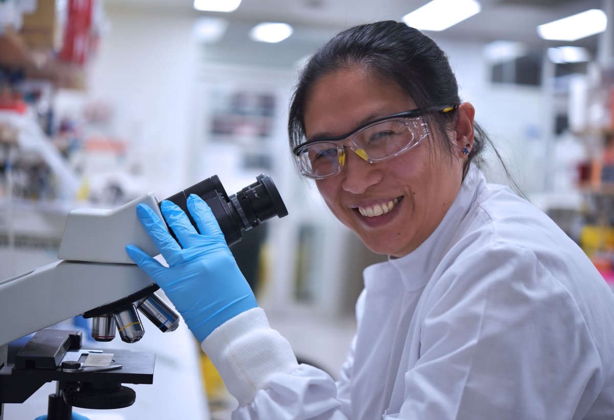 AIBNatUQ's tweet image. Meet A/Prof Shyuan Ngo (@NgoShyuan ), or ‘Shu’ as she’s widely known 👋 AIBN researcher, community advocate, & driving force behind QLD’s newest effort to tackle #MND. Read about her journey & the new Centre set to transform MND research in Queensland: buff.ly/AprcSSh