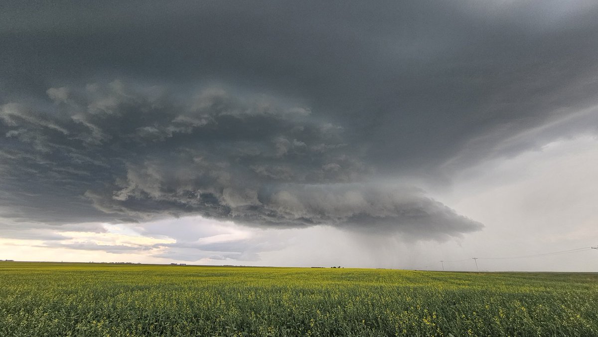 E of Langdon looking W. 18:06
#abstorm