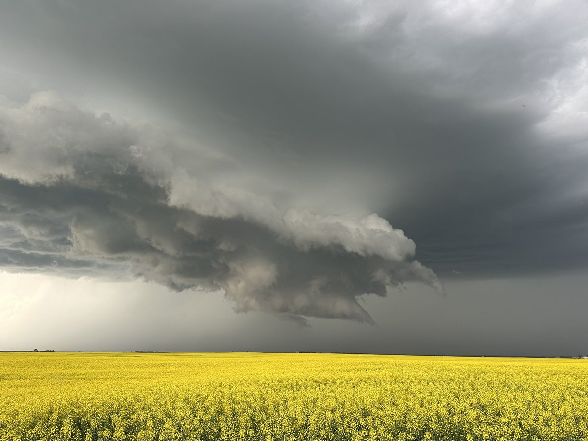 Tornado warning near Antler, SK. 
#mbstorm
#skstorm 

<a href="/aaronjayjack/">Arizona Jack</a>