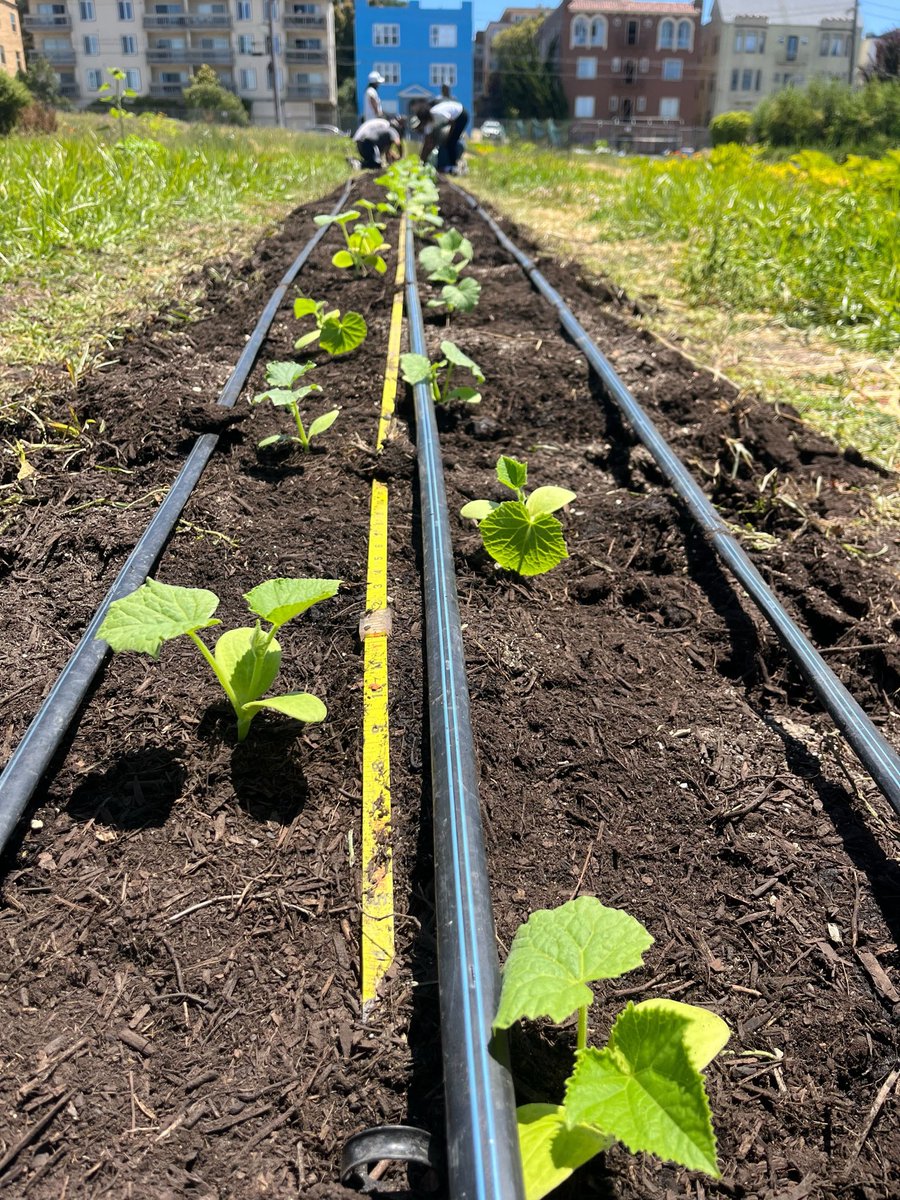 People’s Programs tweet media