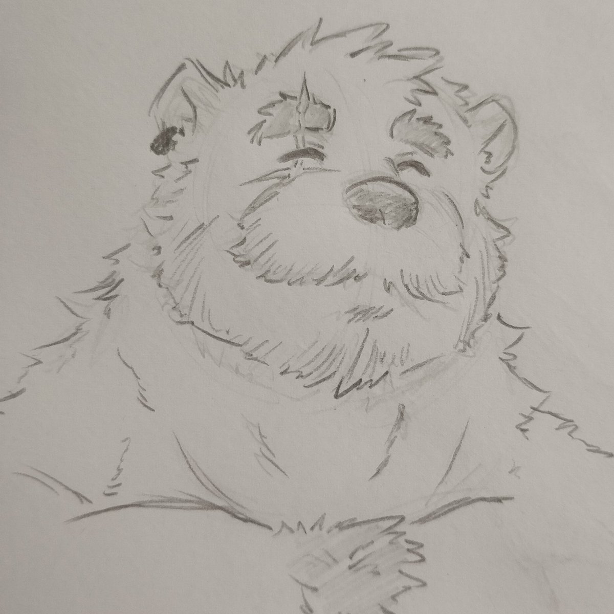 Discord doodles: Sigvaldi (AE)