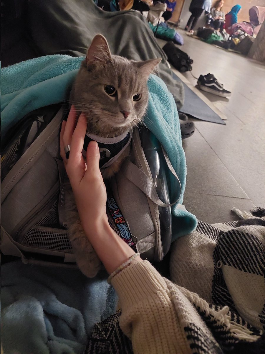 "Шкіряна, тримай мою лапку
А я потримаю тебе і охоронятиму"
Сиджу плачу в метро від того, що цей кіт зі мною