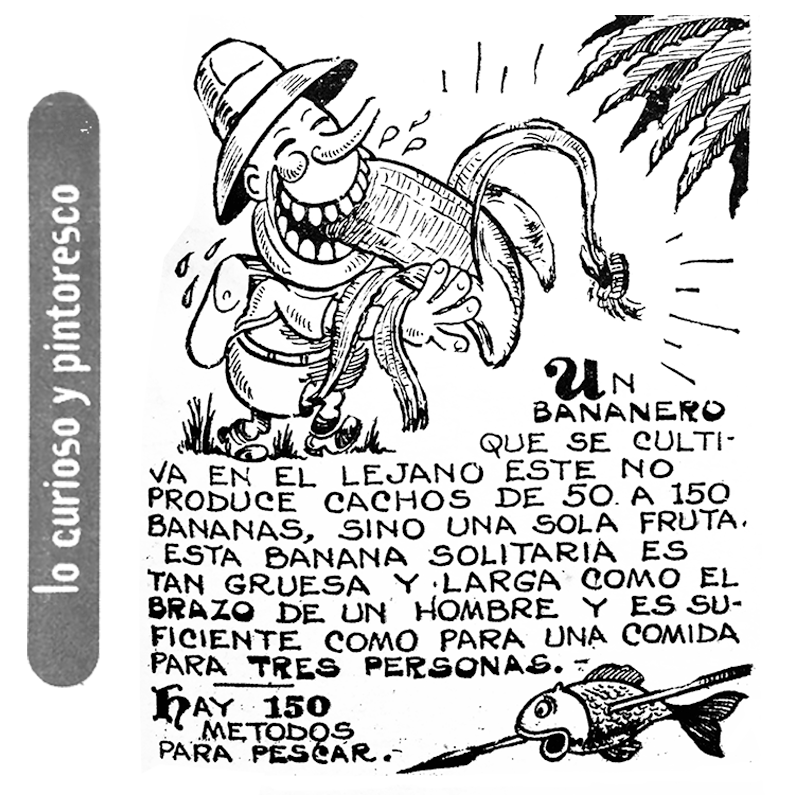 COMPARTALO y DIVÚLGUELO! #LoCuriosoyPintoresco #Divulguelo #Fola #datosfreak #curiosidades #curiosidadesnerd #eldatoqueanadieleimporta