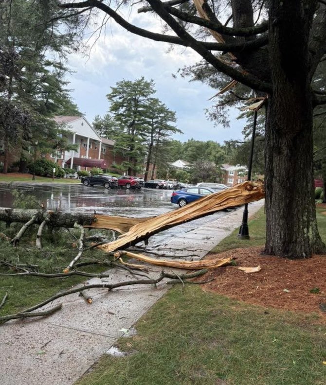 Danbury_WX's tweet image. The path from Trumbull to Milford got hit hard by a microburst. Lots of tree damage reported.
