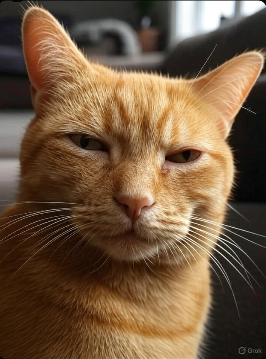 AI_ArtIMG's tweet photo. When I hear some fancy cat say...
"I started from zero!" 

I'm like...
 "Yo, I'm just rockin' fur and claws with my average-income human! How do I compete when your human spends on morning coffee like it's pocket change?" https://t.co/ouikDl5i9D