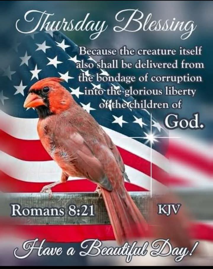 Paul says that creation itself shall obtain the same freedom that those in Christ will receive when they are glorified.