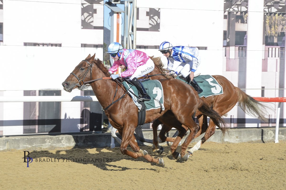 Danny Williams (@goulburntrainer) on Twitter photo ๐ฃ RUNNER UPDATE ๐ฃ
Back to <a href="/ThoroughbredPk/">Thoroughbred Park</a> Acton today with last-start winner LONDON BOY in the 1280m Class 2 Hcp (R7).
The consistent 4YO returns to the same track/trip after breaking through for his Maiden win two weeks ago.
Stable apprentice Dale Cole claims 4kg again as ๐ฃ RUNNER UPDATE ๐ฃ
Back to <a href="/ThoroughbredPk/">Thoroughbred Park</a> Acton today with last-start winner LONDON BOY in the 1280m Class 2 Hcp (R7).
The consistent 4YO returns to the same track/trip after breaking through for his Maiden win two weeks ago.
Stable apprentice Dale Cole claims 4kg again as