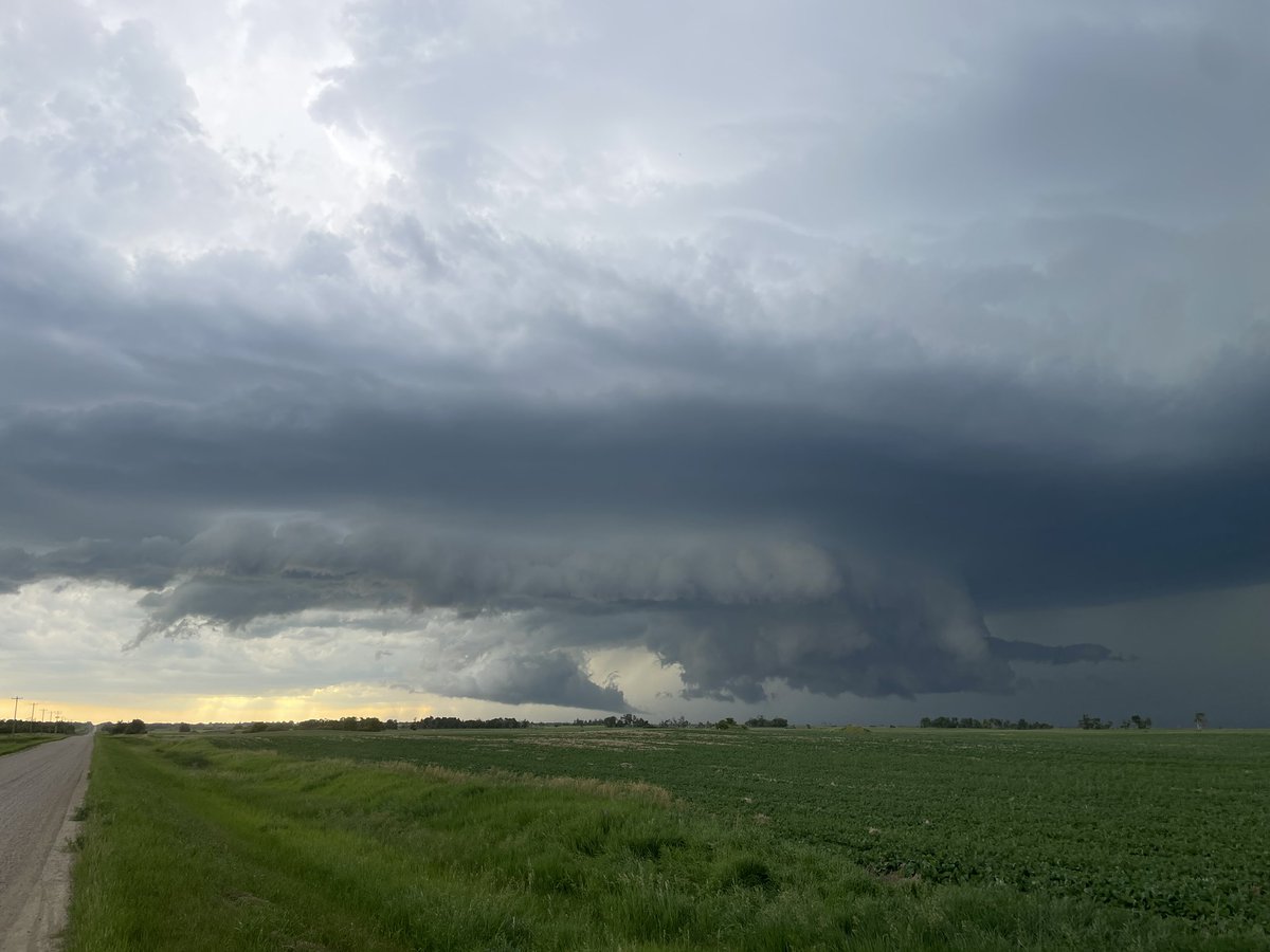 Dustin Freeman tweet media