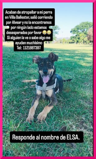 patripeyrou's tweet photo. Difundimos https://t.co/EhdbifXX9a
