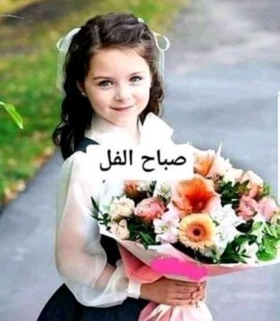 شموخ ساره (@sarah32419) on Twitter photo 