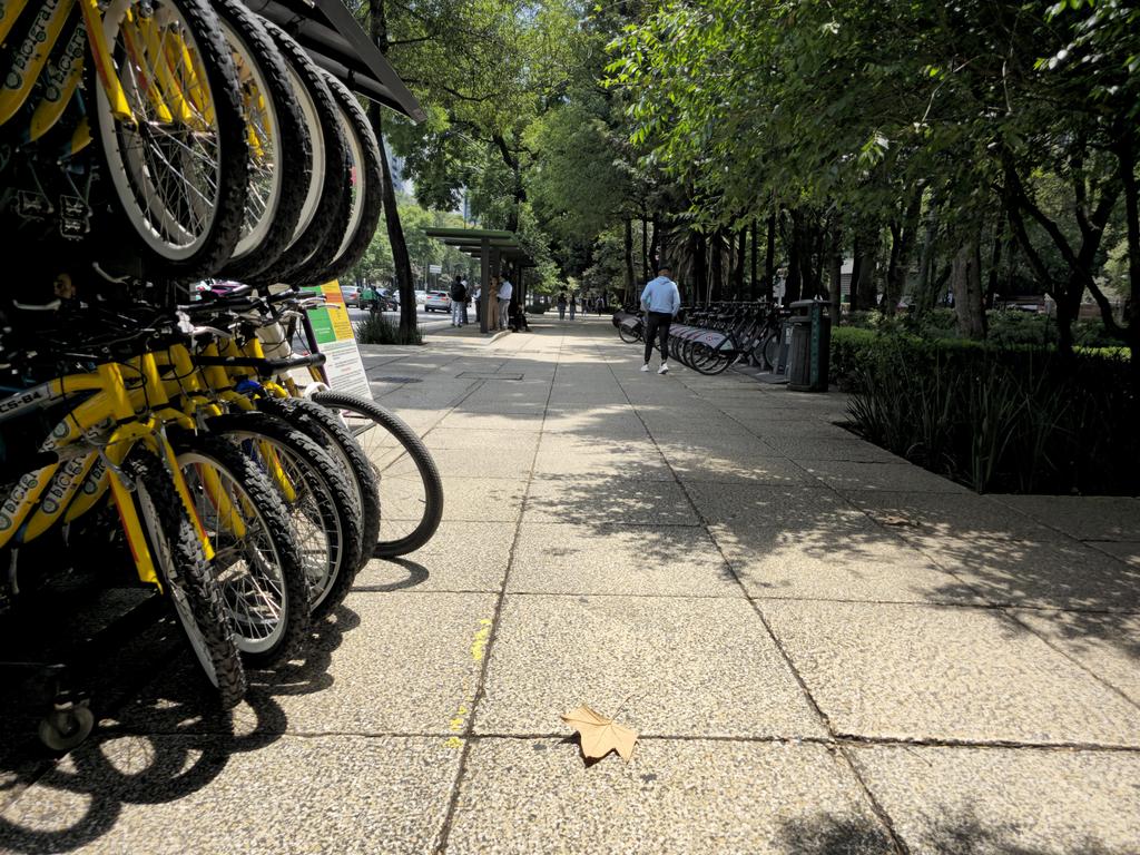 Una parte del Paseo de la Reforma fue liberada de ambulantes. Autoridades de <a href="/AlcCuauhtemocMx/">Alcaldía Cuauhtémoc</a> lograron el retiro. Faltan comerciantes, 80 de los 280 que había obstruyendo. <a href="/ClaraBrugadaM/">Clara Brugada Molina</a> dijo que se iban a retirar, pero aún no ocurre.
