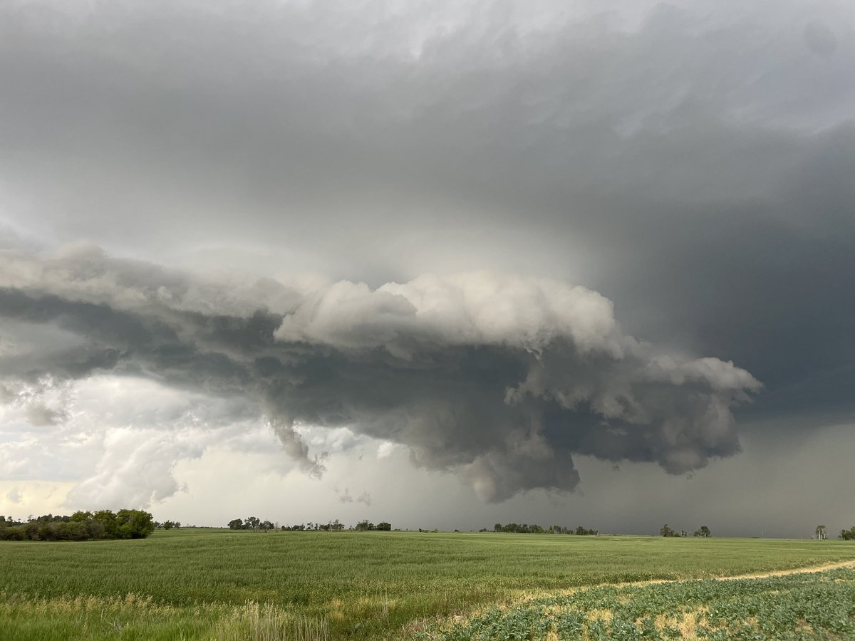 Dustin Freeman tweet media