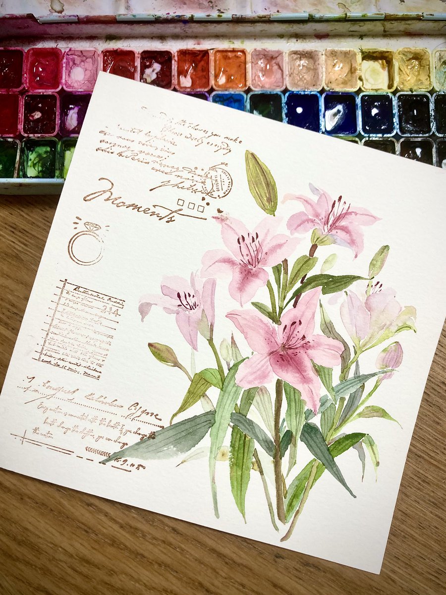 DingpingCn's tweet image. 朝の水彩練習、白いユリを一組描きました。
#watercolorpainting #art #watercolor #watercolorart #drawingart #水彩画