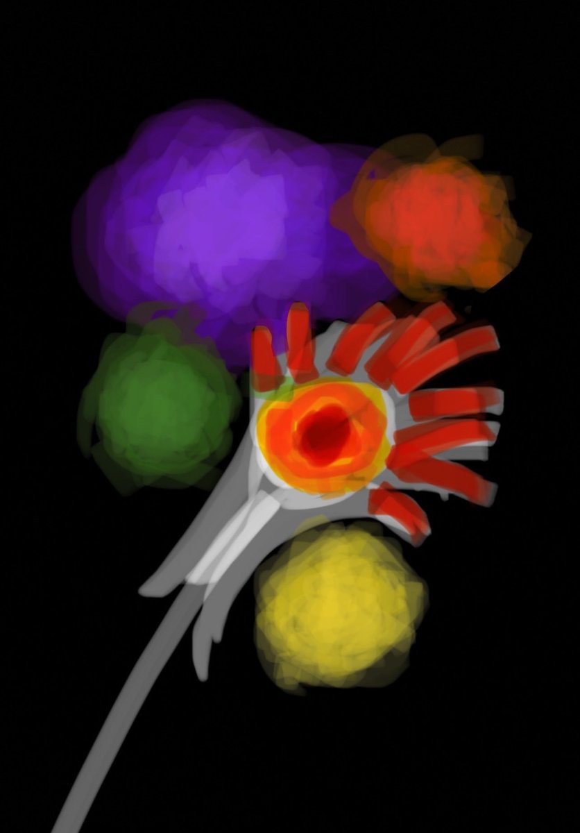 kouroshbral's tweet photo. #flower #artist #modernart #modernartist #abstract #abstractart #digitalartist #digitalartwork #digitalartworks #digitalabstractart #contemporarydraw #drawings #dailydrawing #drawingsketch #simple #wallart #flowers #colorful https://t.co/vZ5vhVVLMi