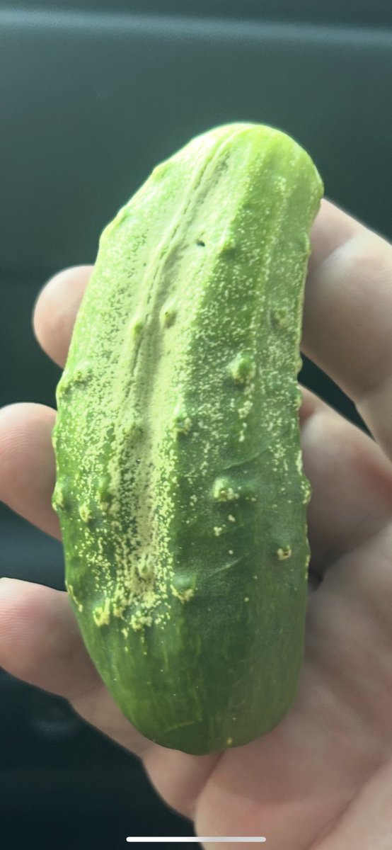 Adam (@aar_1776) on Twitter photo Pickle Rick Pickle Rick