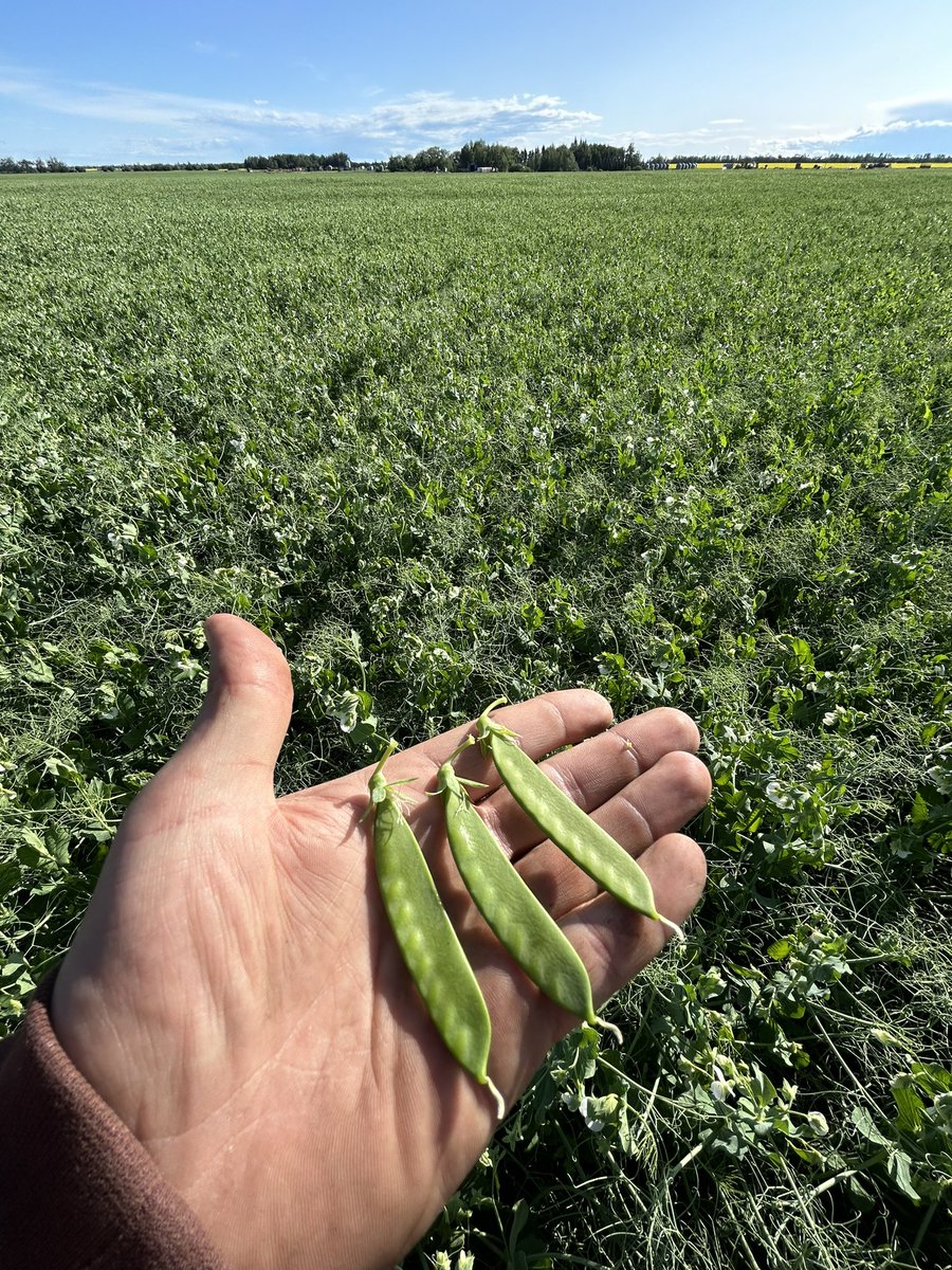 Looking good🤞🏻