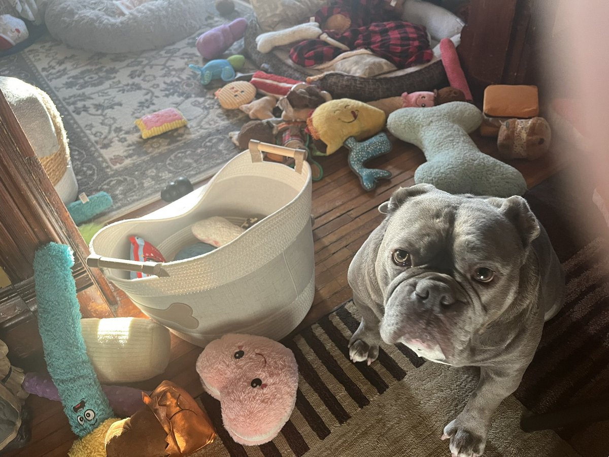 KingTuckerC's tweet image. I don’t know what came over me! I started out looking for just one toy and next thing you know … 🤷♂️😉😏😂🤣❤️