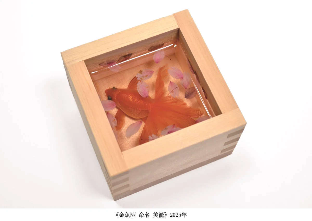 春耕　金魚図　保存箱　MA835 Gu-ZSX7b0AIp24f?format=webp&