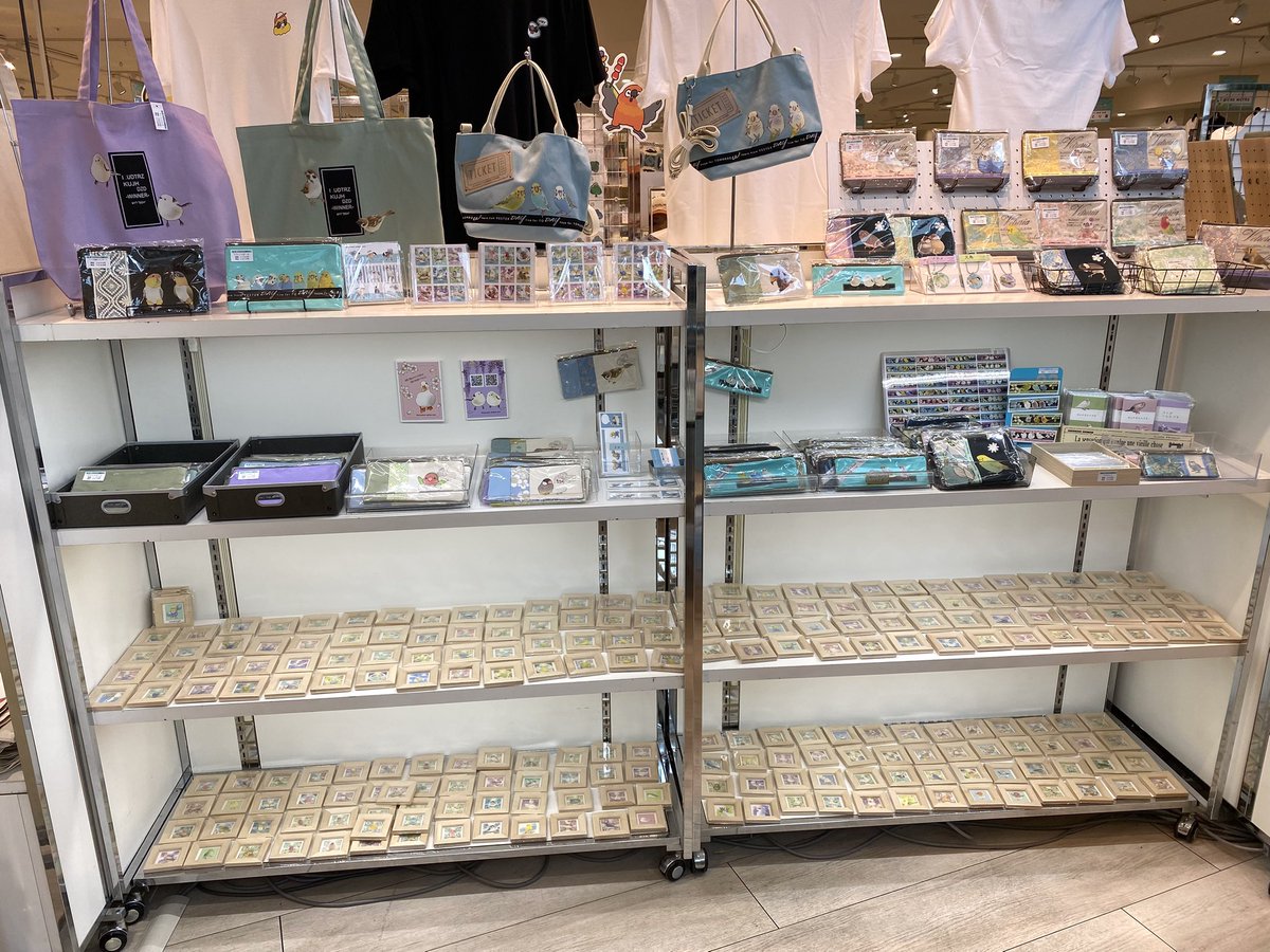 ＃小鳥ガーデン
本日もよろしくお願いします✨
会場でお待ちしております😊