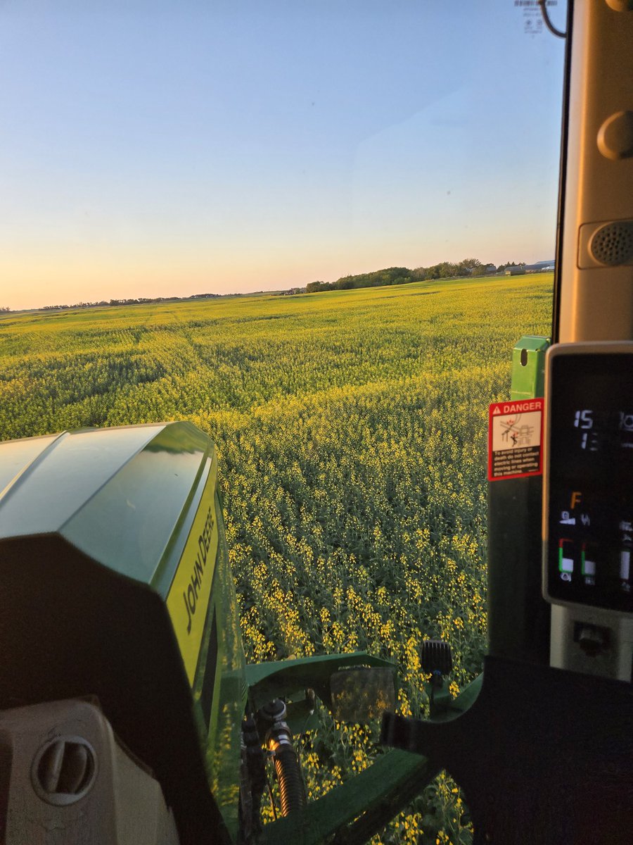 Spraying Fungicide 😁😁😁
Spraying Insecticide 😡😡😡
Spraying both🤨🤨🤨