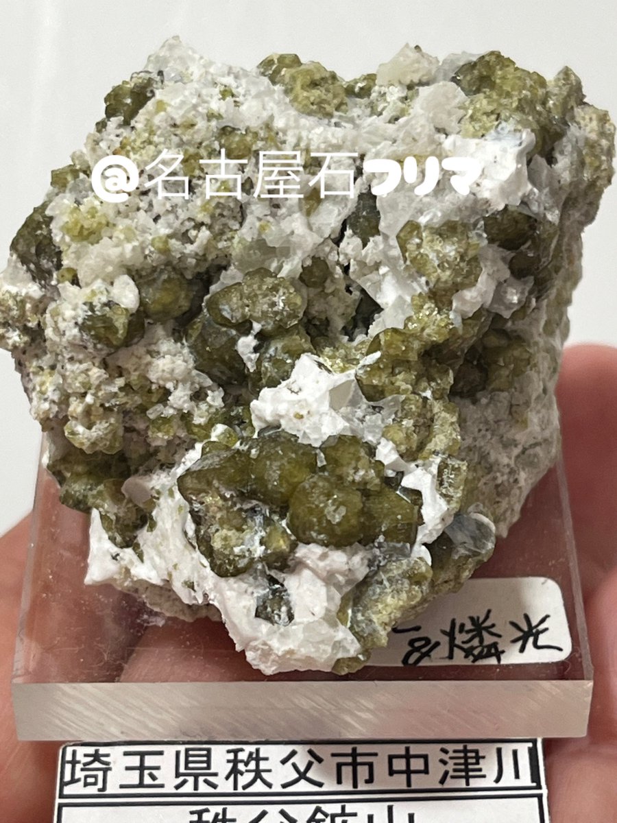 秩父鉱山では様々な石が採れます☺️ 鉱物採集家の長島乙吉先生の