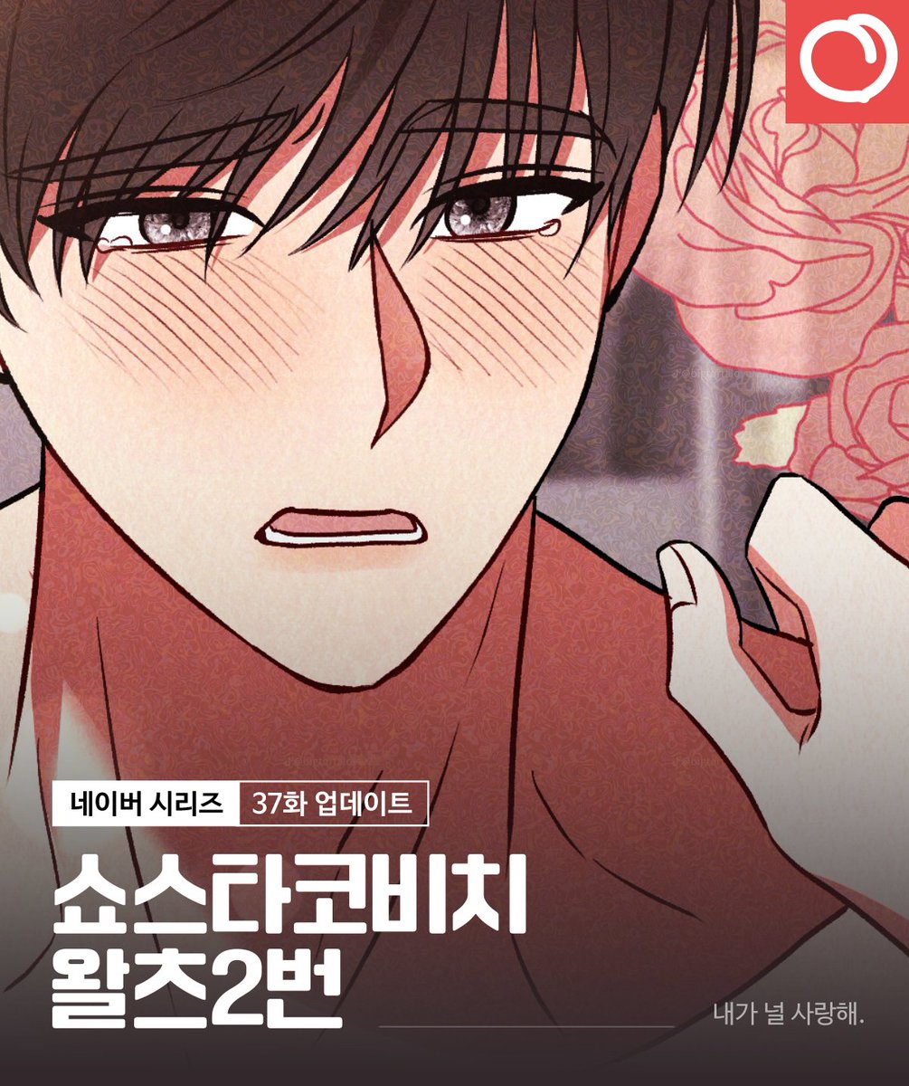 💃쇼스타코비치왈츠2번 37화 업데이트 안내

내가 널 사랑해.

진심 고백으로 더욱 불붙어버린 두 사람으로 인해
개정판은 한 주 더 휴재 후 찾아뵙겠습니다!

[무삭제판]🔞naver.me/FtTSDQWb
[개정판]💖naver.me/x1VBfgmi

#RT #레드피치 #웹툰 #로맨스 #선결혼후연애 #후회남 #무심녀