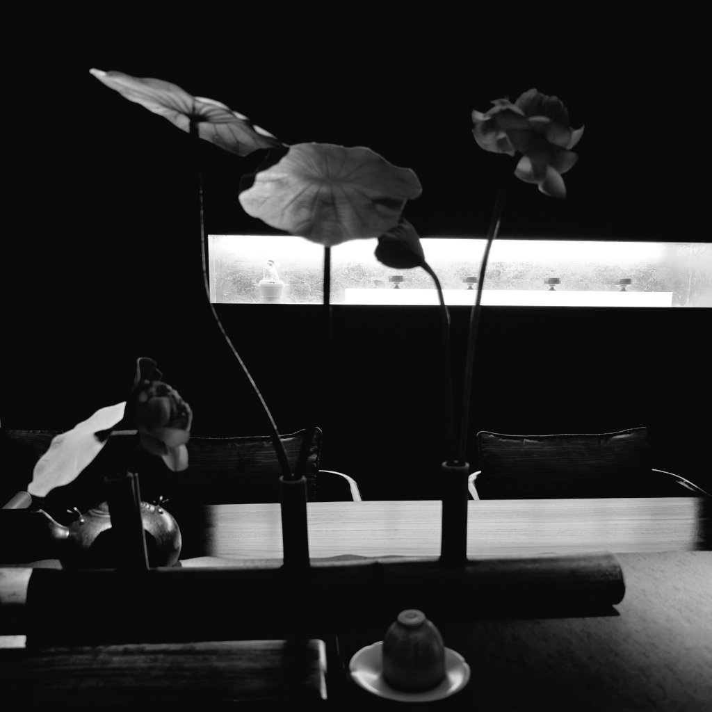 二月和七月 tweet media