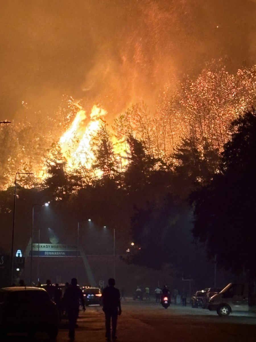 İnsanın böyle bir tecrübesi olmamalı.. “ben bu abiyi tanıyorum onun gibi kucaklayalım , ısırmıyorlar korkmayın hadi “ sözleri insanı ağlatmamalı