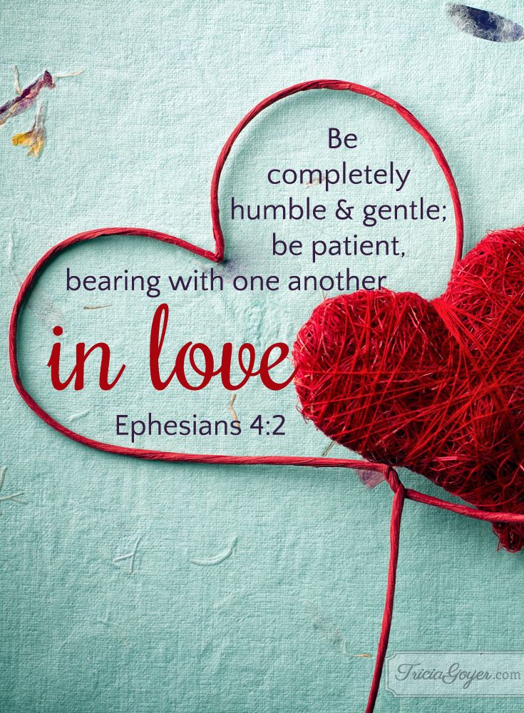 Wendy W ✝️💐🌿🌷🌿🌷🌿🌷 (@wendywatson222) on Twitter photo 
