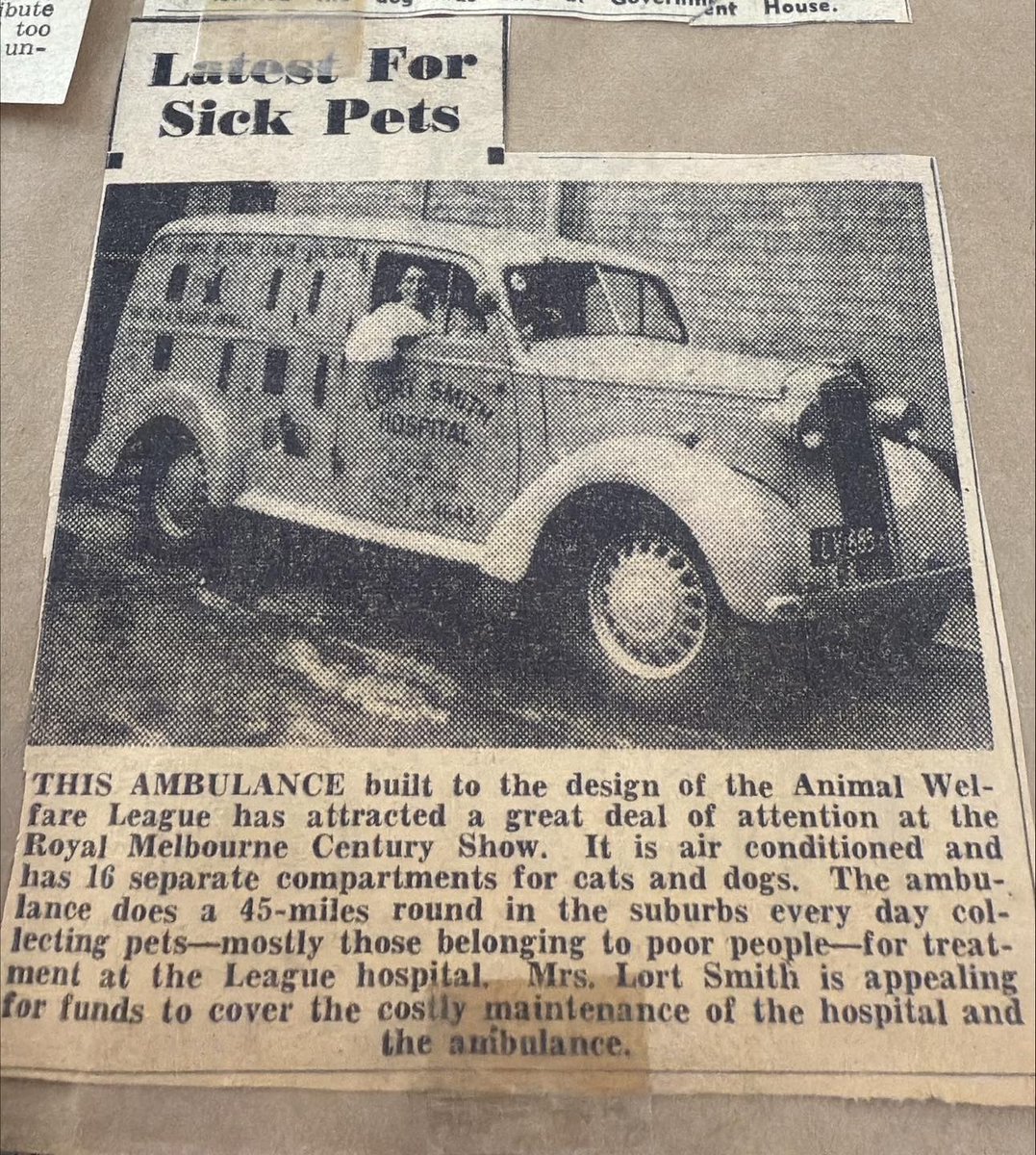 Pat Ray remembers collecting a dog from the owner who told her that the dog was to have it's tonsils out. When the vet started to shave its nether regions, she thought he hadn't understood, so reiterated that the dog was to have its tonsils out. She was told that for a dog to
