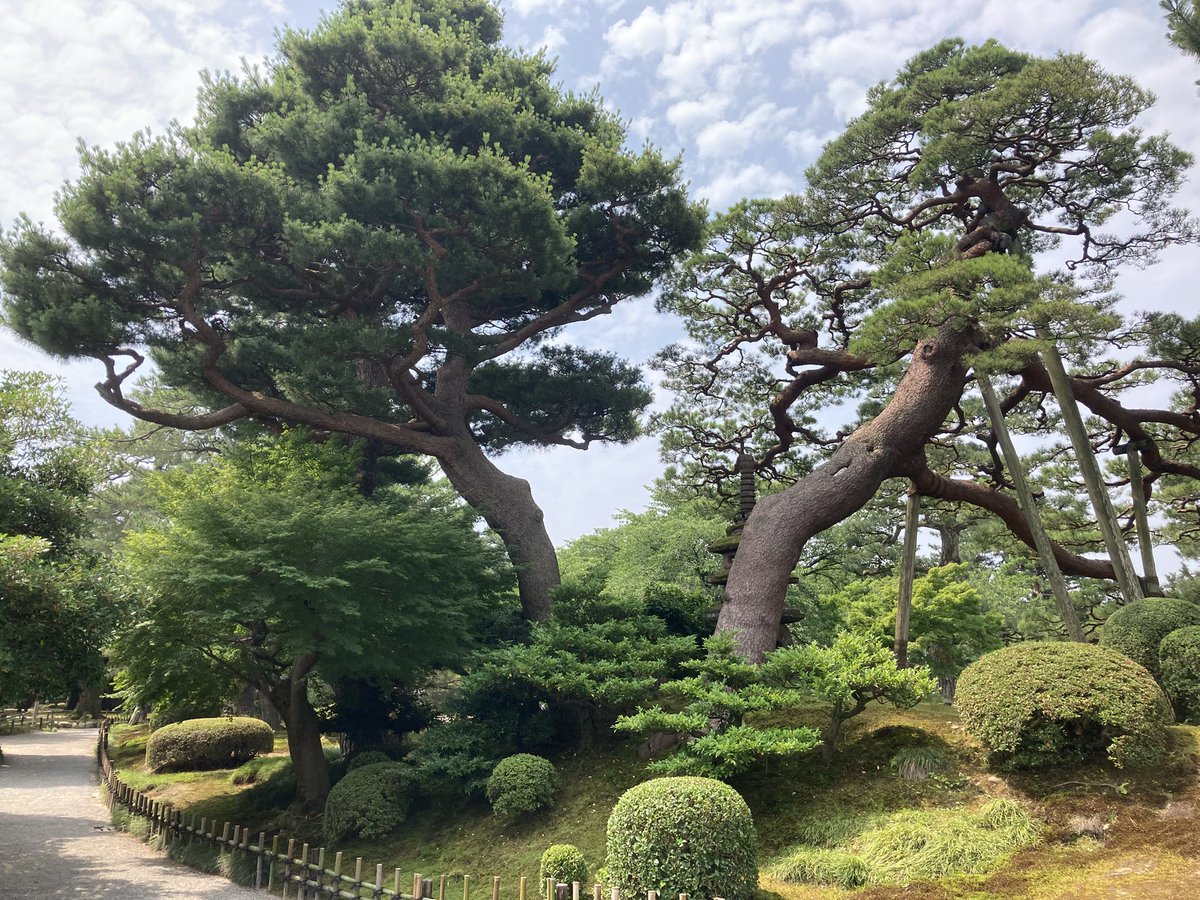 con_viz（jindo） tweet media