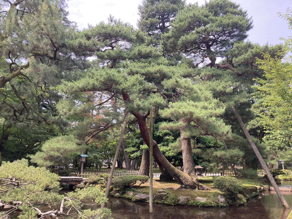 con_viz（jindo） tweet media