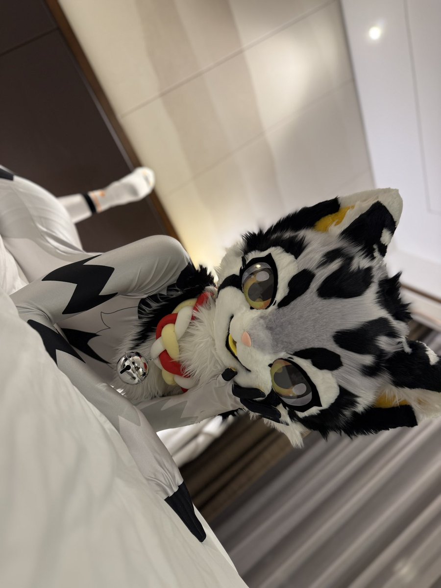 hi