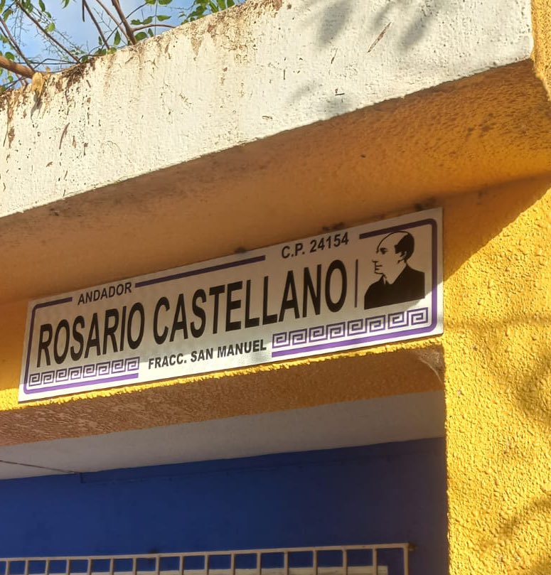 La audacia de renovar los letreros de las calles en un rincón de la península de Yucatán. Nadie sabe quién es ese calvo.