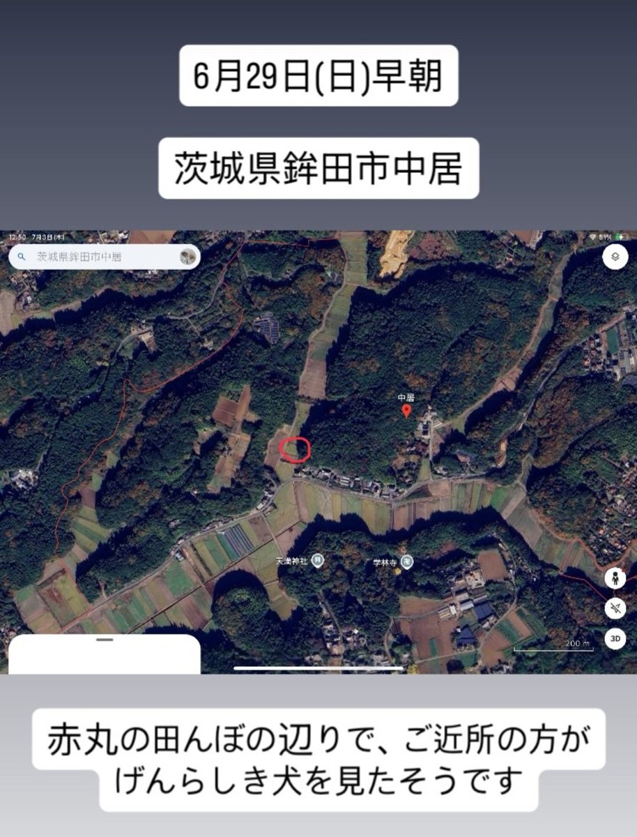げんちゃん、やはり茨城県で目撃情報続いているそうです。この暑さ、週末はもっと暑くなることを考えると、1秒でも早く保護されて欲しい。1人でも多くの方の目に触れ、保護につながりますように。

#拡散希望 #迷子犬 #茨城県 #茨城県迷子犬  #茨城県鉾田市  #シーズー