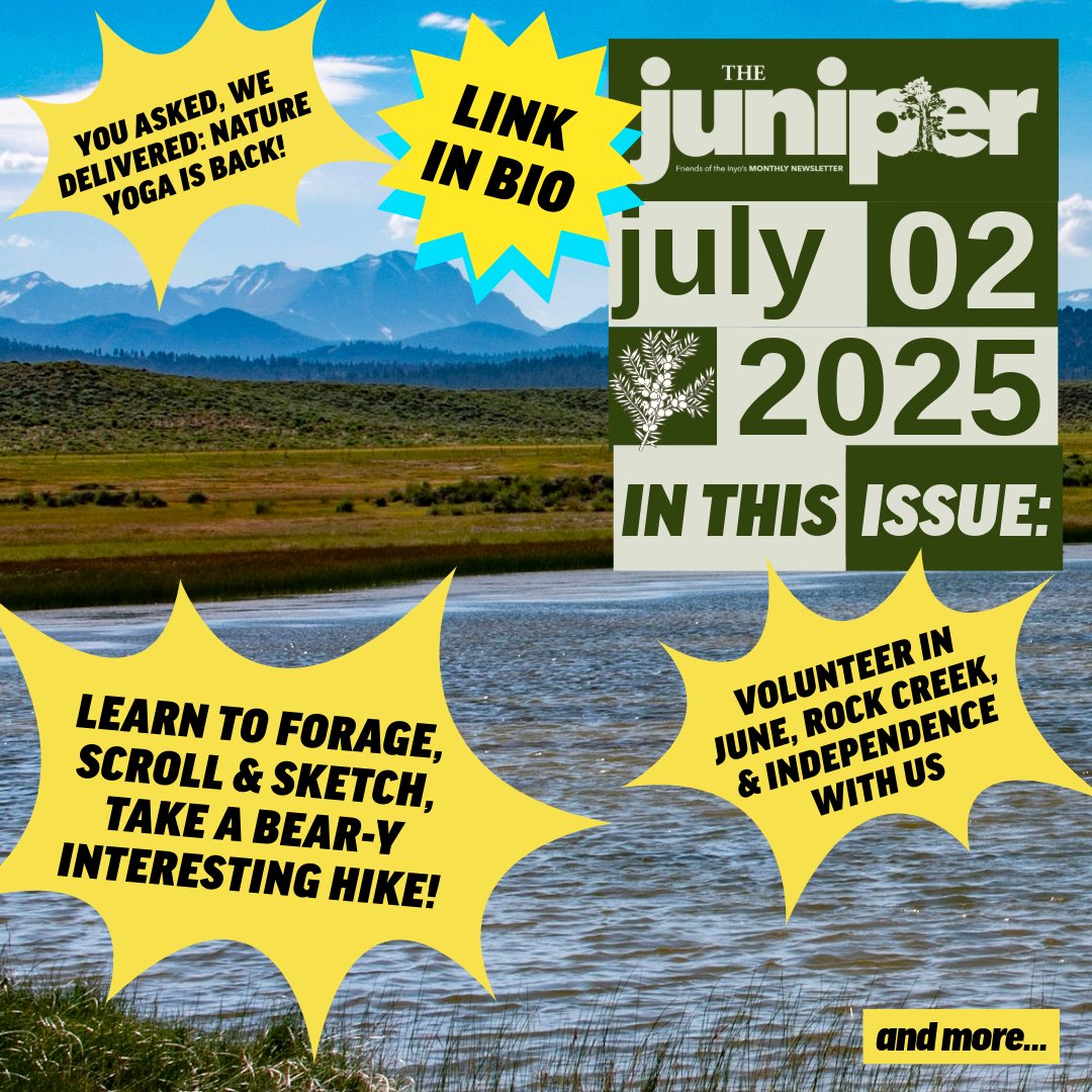 In the July Juniper,  get on the trail, volunteer with us, learn from our amazing trail ambassadors, and celebrate a public lands victory with us!
smartmailerview.bisglobal.net/SendMail/1143/…