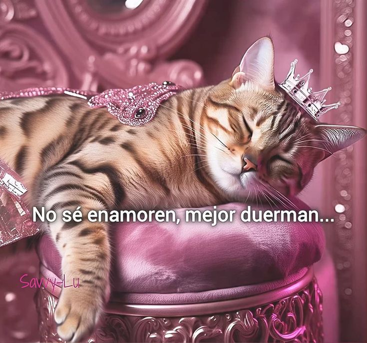 Noche de lluvia 💤