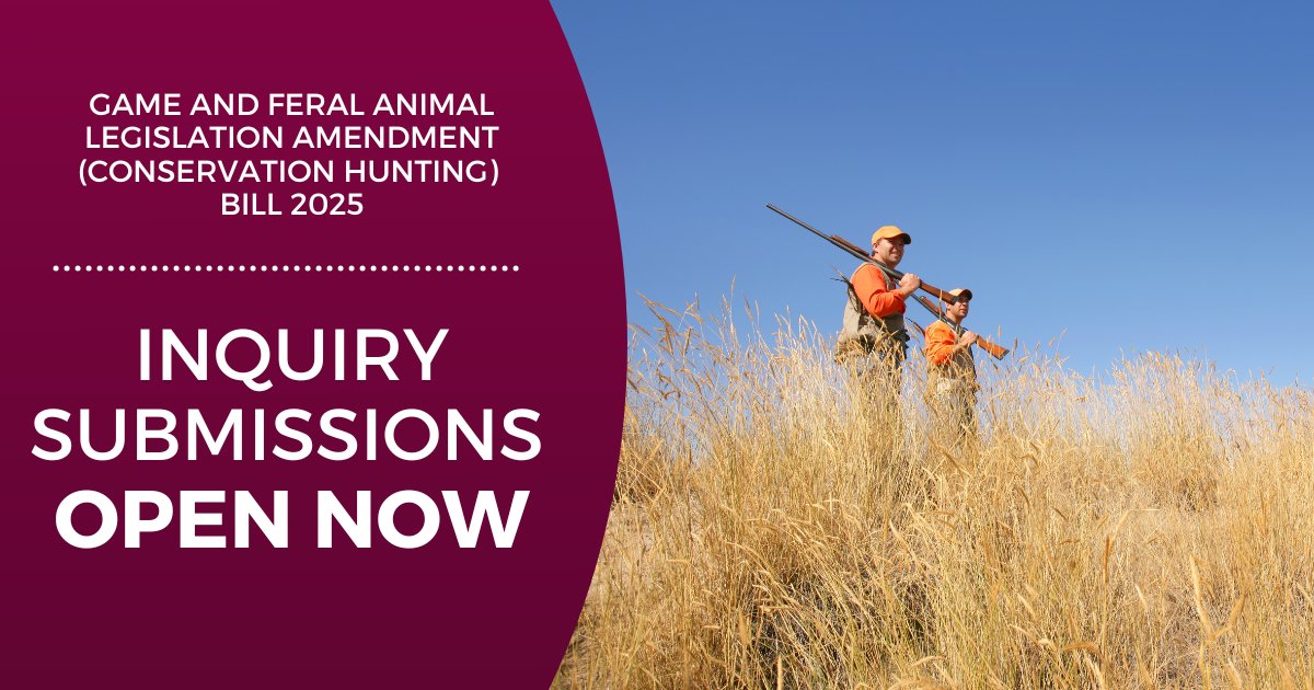 An inquiry into the Game and Feral Animal Legislation Amendment (Conservation Hunting) Bill 2025 is now underway in the #UpperHouse.

Share your views with the committee before debate on the bill continues. Submissions close 4 August 2025
📩 Find out more and make your