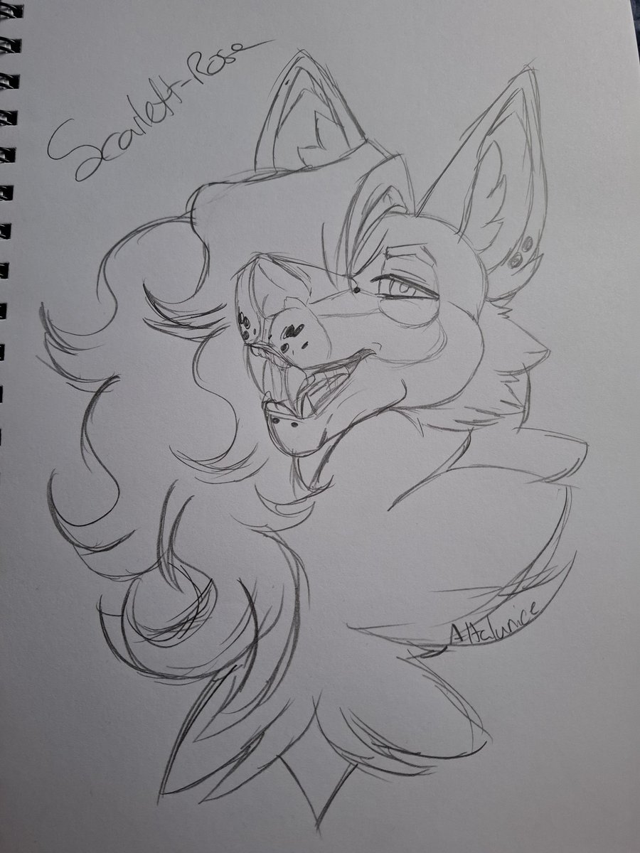 Trandional sketch doodle of my oc Scarlett
Haven't done Trandional in awhile and felt really good about this one