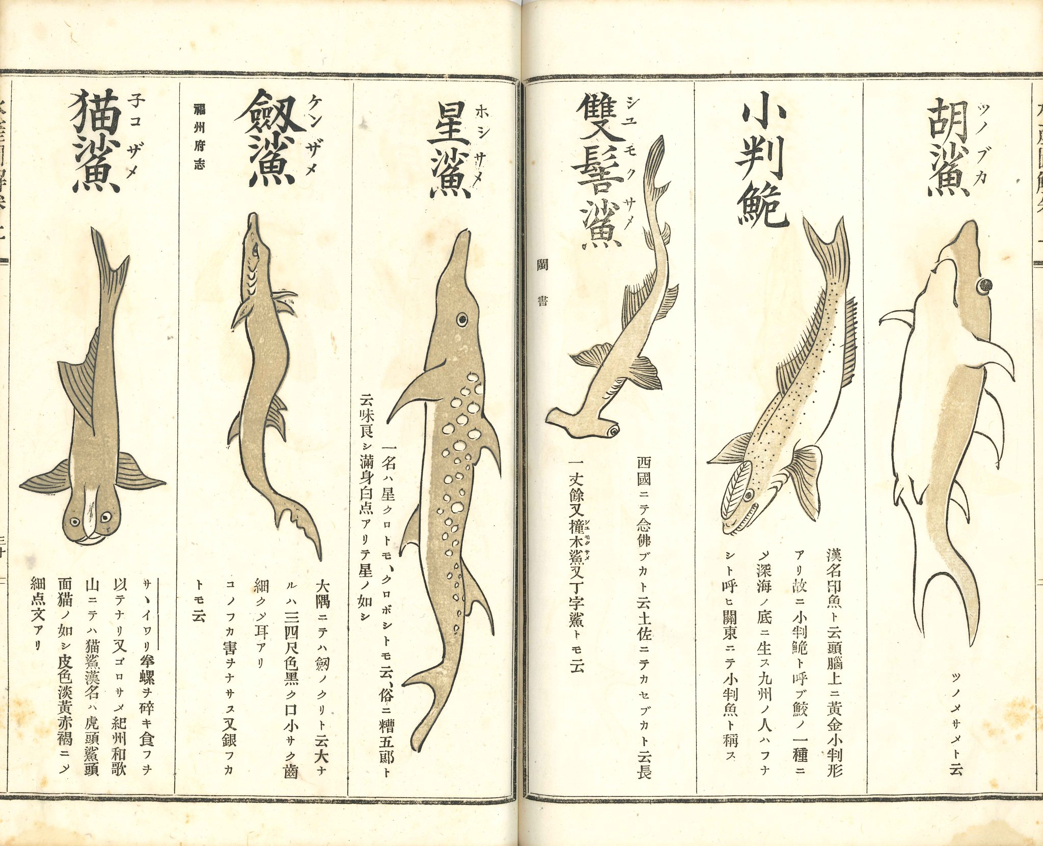 一誠堂書店 THE ISSEIDO BOOKSELLERS on X: 