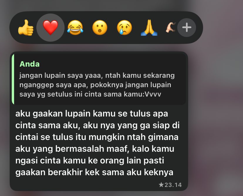 𓆝 𓆉 ˚.⋆ tweet media